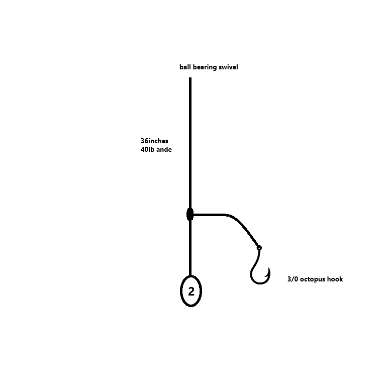 Simple Bottom Rig – Simple Tackle